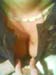 Foto(14)