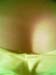 houseparty_felix (1)