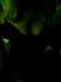 houseparty_felix (3)