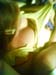 houseparty_felix (6)